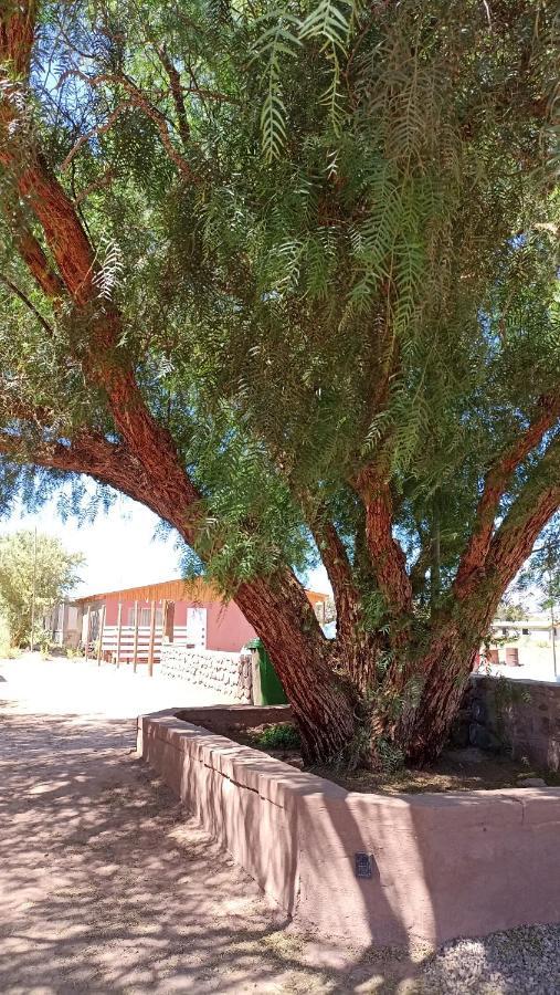 Lodge Don Felix San Pedro de Atacama Buitenkant foto